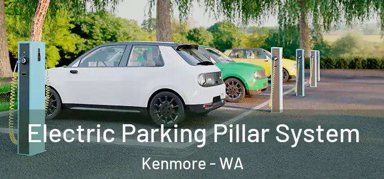  Electric Parking Pillar System Kenmore - WA