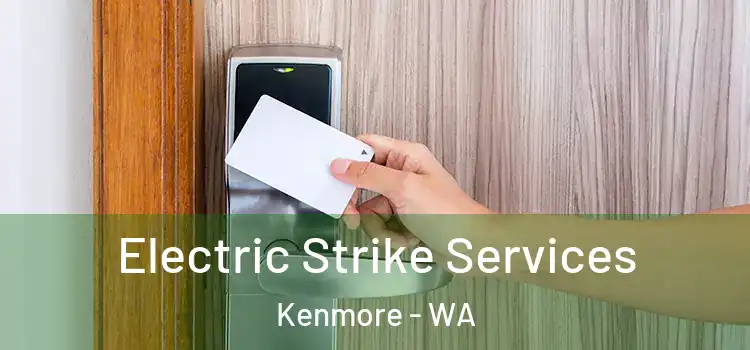  Electric Strike Services Kenmore - WA