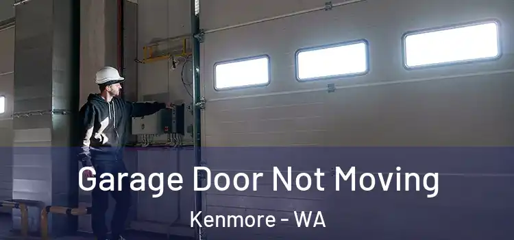  Garage Door Not Moving Kenmore - WA
