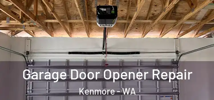  Garage Door Opener Repair Kenmore - WA