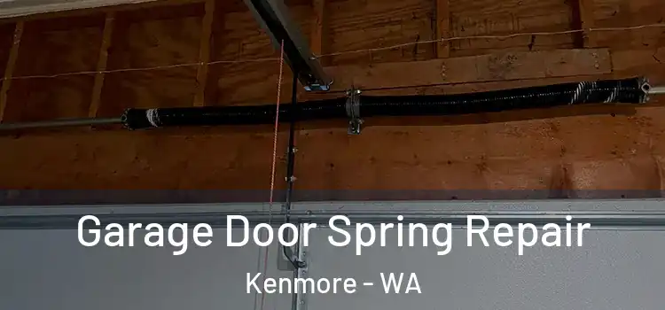  Garage Door Spring Repair Kenmore - WA