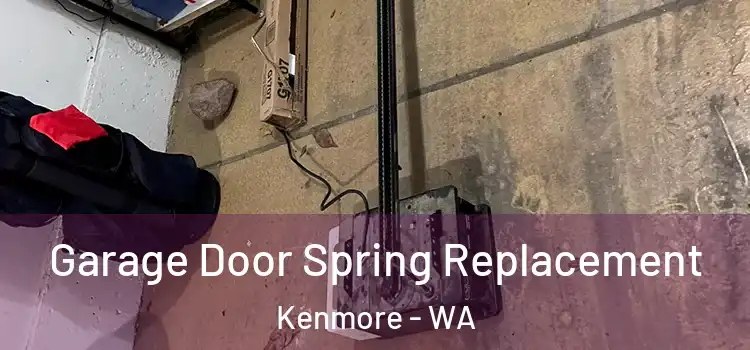  Garage Door Spring Replacement Kenmore - WA