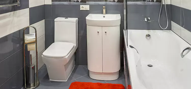 Hansgrohe Shaving Mirror Kenmore