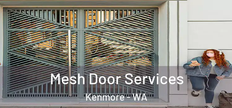  Mesh Door Services Kenmore - WA